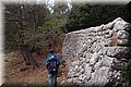 PB218056.JPG