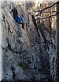 PB258187.JPG