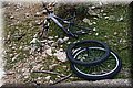 PC028488.JPG