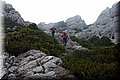PC058569.JPG