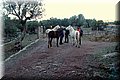 PC168970.JPG