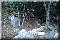PC168990.JPG