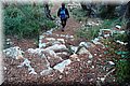 PC168994.JPG