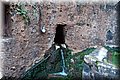 PC169006.JPG