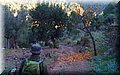 PC169017.JPG