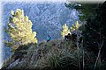 PC169043.JPG