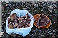 PC169101.JPG