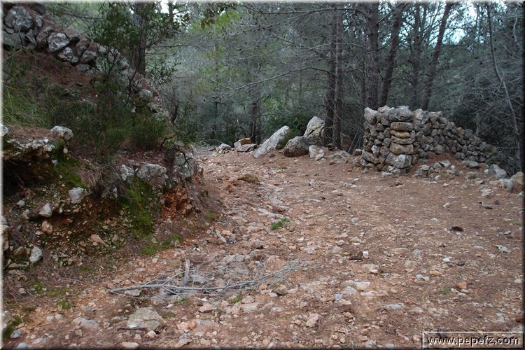 P1029677.JPG