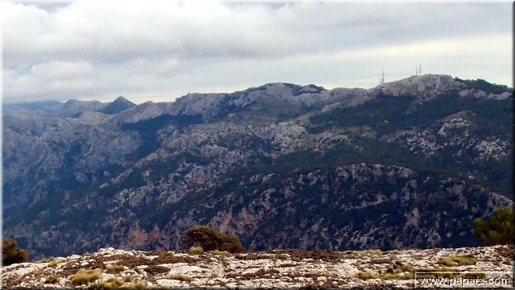 P1029756.JPG