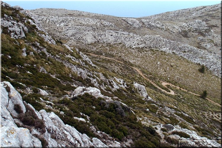 P1029763.JPG
