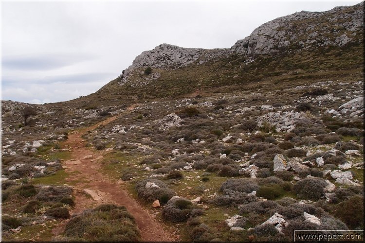 P1029774.JPG