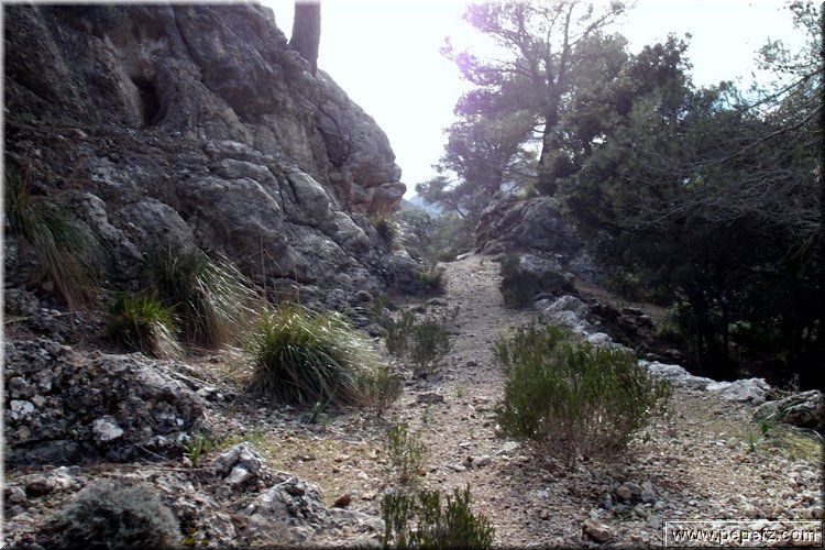 P1029787.JPG
