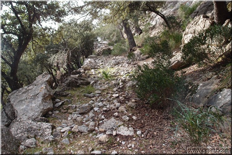 P1029790.JPG