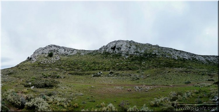 P1080343.JPG