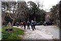 P1029667.JPG