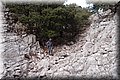 P1029693.JPG