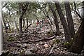 P1029696.JPG