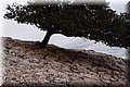 P1029749.JPG