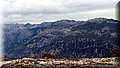 P1029756.JPG