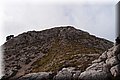 P1029759.JPG