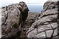 P1029769.JPG
