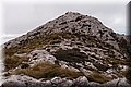 P1029772.JPG