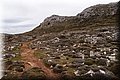 P1029774.JPG