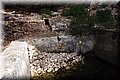 P1029792.JPG