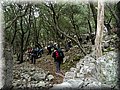 P1080314.JPG