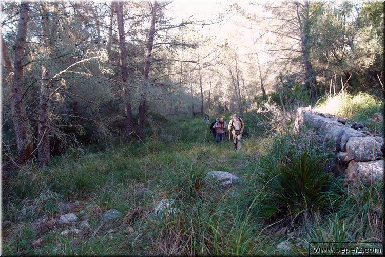 P1099898.JPG