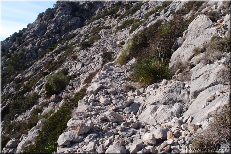 P1099924.JPG