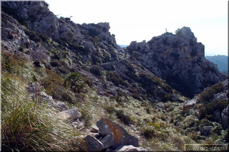 P1099933.JPG