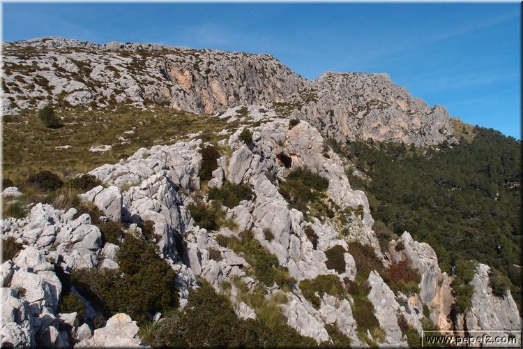 P1099942.JPG