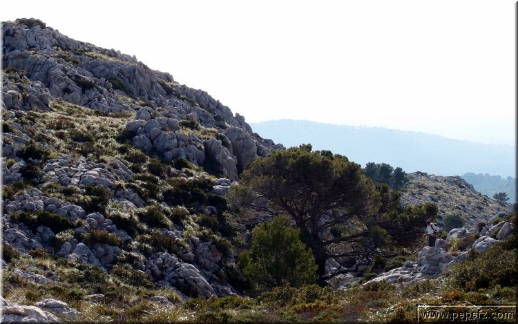P1099944.JPG