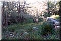P1099898.JPG