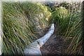 P1099900.JPG