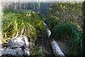 P1099901.JPG