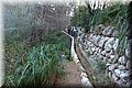 P1099904.JPG