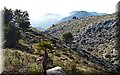 P1099939.JPG