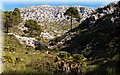 P1099953.JPG