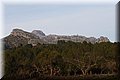 P1099967.JPG