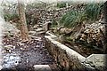 P1130176.JPG