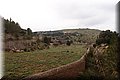 P1130187.JPG