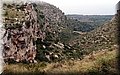 P1130190.JPG