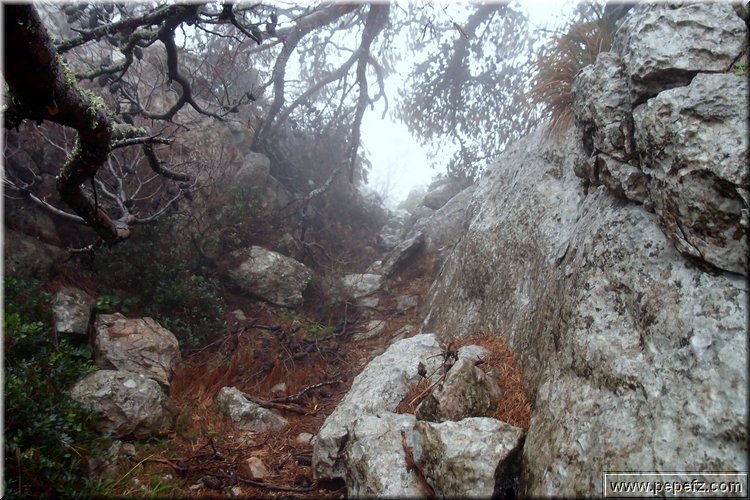 P1160238.JPG