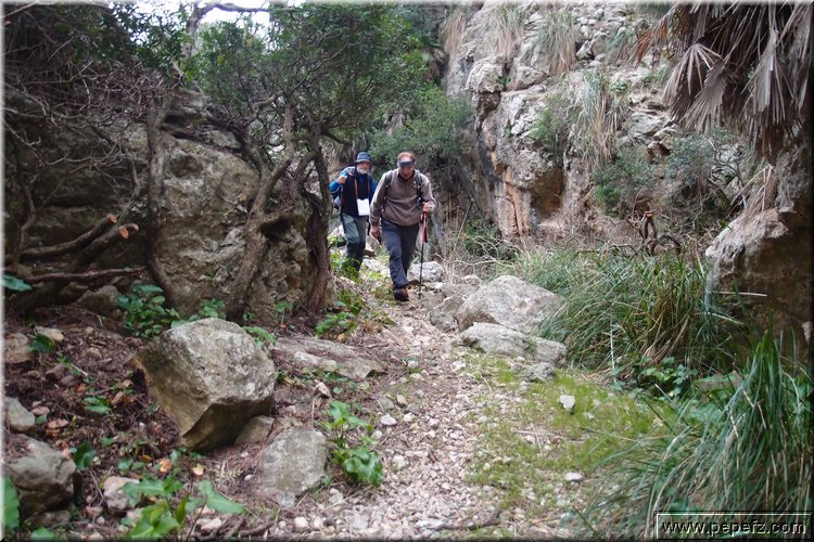 P1160272.JPG