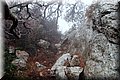 P1160238.JPG