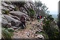 P1160269.JPG
