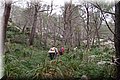 P1160282.JPG