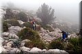 P1160296.JPG